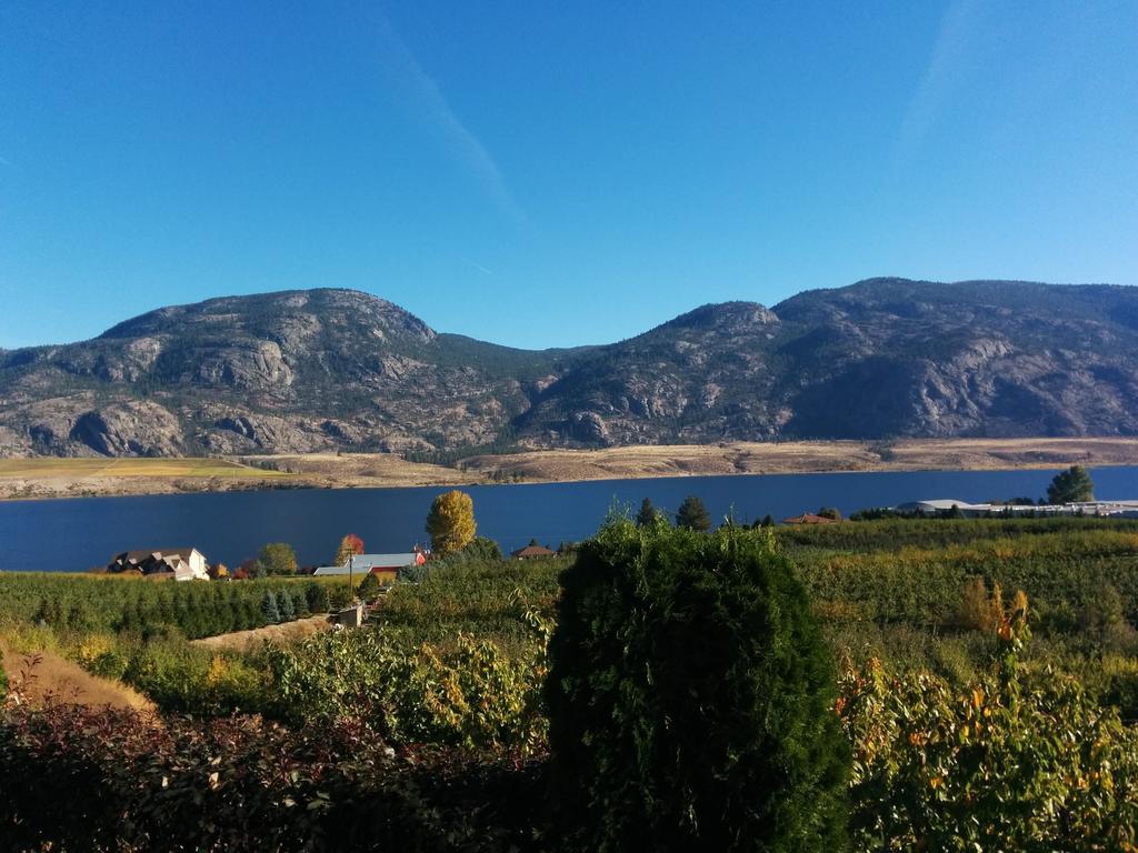 Ciliegia Villa Osoyoos Pokoj fotografie