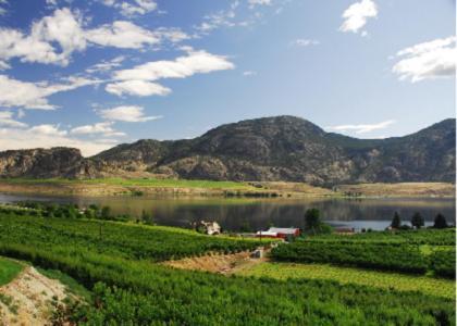 Ciliegia Villa Osoyoos Exteriér fotografie
